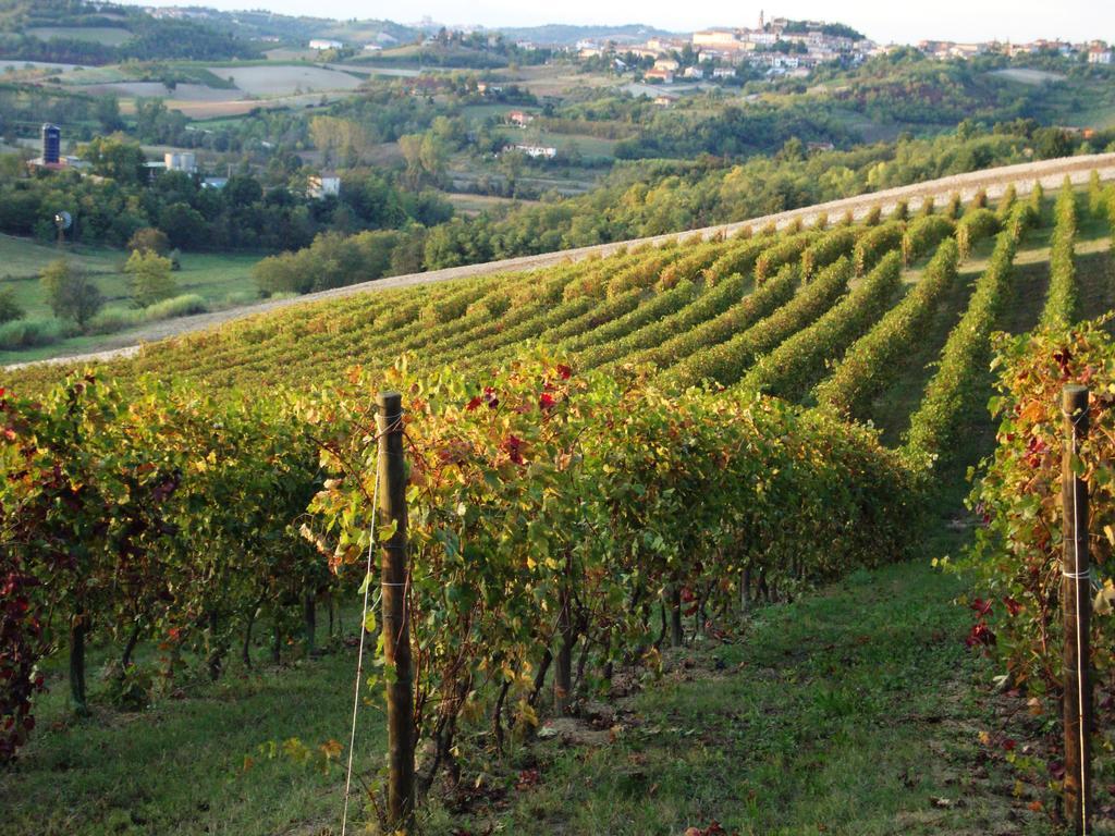 La Commedia Della Pentola Guest House Lu (Piedmont) Екстериор снимка